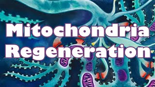 ❉ Powerful Mitochondria Rejuvenation  High Energy  Best Health  Youth  Relaxing Ocean Sounds [upl. by Cello]