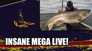 Best MegaLive Footage Ever Captured  Big Lake Trout Action [upl. by Aicnorev]