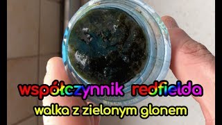 97 Współczynnik Redfielda  Walka z zielonym glonem  Akwarium morskie  Reef aquarium [upl. by Akenihs278]