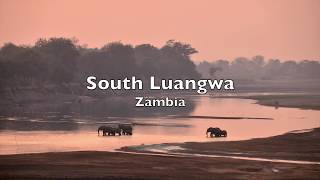 South Luangwa Zambia [upl. by Manley]