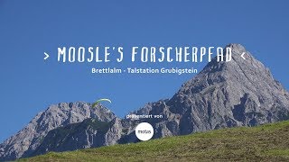 Moosles Forscherpfad – Lermoos Tirol leicht ⓘ Motas Wandertipp [upl. by Cirderf]