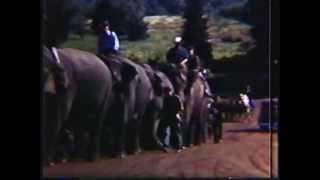 Ringling Brothers circus Plainville CT 1948 [upl. by Iruj]