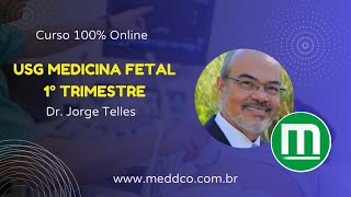 Curso de USG Ultrassom Medicina Fetal [upl. by Gaivn151]