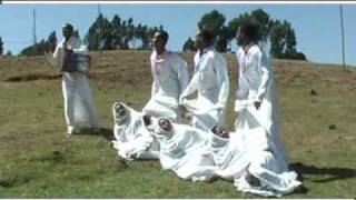 Taddess Mekete Ethiopia Music [upl. by Anileda696]