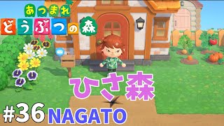 36 NAGATO 【あつまれどうぶつの森】 [upl. by Gensler]