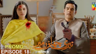 Teri Chhaon Mein Episode 18 Promo Review amp Story Explain  Danish Taimoor  Hum Tv [upl. by Boulanger]