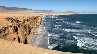 Paracas National Reserve Ica  Peru  A desert paradise [upl. by Assiron]