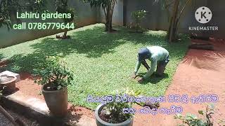 lahiru gardens malesiyan grassAustralian grass grass supply grass paving interlog [upl. by Raffo]