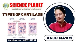 CARTILAGE II SPECIALIZED CONNECTIVE TISSUE II BY ANJU MAM II SCIENCE PLANET II [upl. by Capriola]