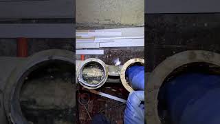 Removing Excess Sewer Build Up Shorts Plumbing Sewercleaning [upl. by Rhea91]