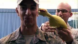 USAF Honor Guard  Rubber Chicken Bearing Test [upl. by Stesha535]