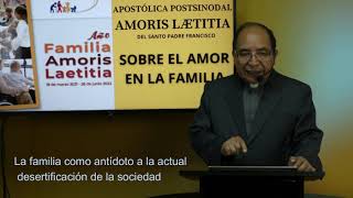 Reflexión Amoris Laetitia Tema 3 Referencias Cristológicas de la teología de la familia [upl. by Marrissa]