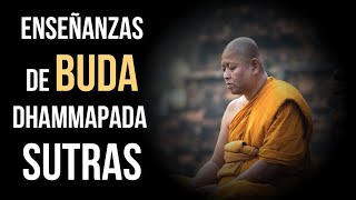 ENSEÑANZAS DE BUDA Sabias frases de Buda para REFLEXIONAR E INTERNALIZARDhammapadaSutras [upl. by Noreh]