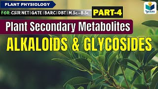 PLANTS SECONDARY METABOLITESPART4 ALKALOIDS AND GLYCOSIDES CSIR NET [upl. by Medina]