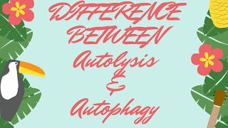 Difference between AUTOPHAGY amp AUTOLYSIS With TRICKS AND TIPS💡 [upl. by Ybbed]