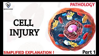 Cell Injury Pathology  Reversible and Irreversible Cell Injury  Part 1 [upl. by Nerac]