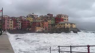 Mareggiata in Liguria la situazione a Boccadasse [upl. by Jacintha]