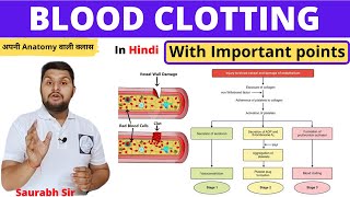 Blood ClottingClotting factors  Important points For NeetNursingMedical Pharmacy [upl. by Kalin930]