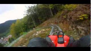 Hasenhorn coaster Rodelbahn Todtnau downhill rail tobogan [upl. by Launamme]