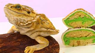 I Ate My Beardie Listing Each Decades Most Popular Pets [upl. by Franky]