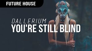 Dallerium  Youre Still Blind [upl. by Llerehc]