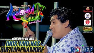 MELODÍA SENSUAL►DIOS MIO HAS QUE ME ENAMORE☆ EN VIVO 2018 ☆ ✓ ♫ ☛ RONEP Producciones [upl. by Nerraf714]