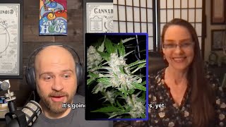 Hermaphrodite Cannabis Plants  Janna Champagne [upl. by Esinet]