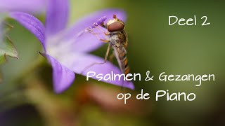 Psalmen amp Gezangen op de piano  Deel 2 [upl. by Sparkie]