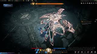 Lost Ark Spider Boss Paladin LA 1080p PC [upl. by Kirit]