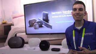 Harman Kardon Omni Wireless Chromecast Surround Sound Speaker Preview [upl. by Anaujahs]