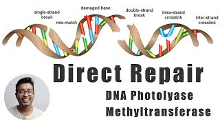 Direct repair of damaged DNA mechanism explained for medical students [upl. by Jallier360]