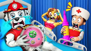 PAW Patrol The Movie 64 ► Pregnant Marshall in Trouble  Doctor Ryder amp Skye Help In Hospital [upl. by Lered506]