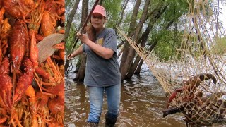 Crawfish Netting Louisianas Public Swamp Lands amp Best Crawfish Boil Recipe CatchCleanCook [upl. by Absa262]