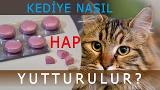 Kediye nasıl hap yutturabilirim [upl. by Gies736]