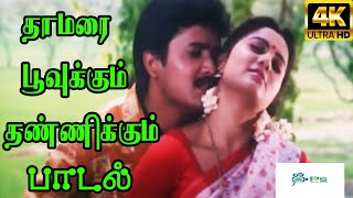 Thamarai Poovukum தாமரை பூவுக்கும் Sujatha Mohan Krishnachandar  H D Love Song [upl. by Yeltneb]