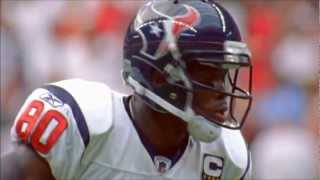 Andre Johnson Highlights [upl. by Brittany]