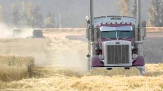 Idaho Wheat Harvest [upl. by Htevi88]