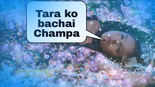 Tara ko bachai Champa [upl. by Karlie]