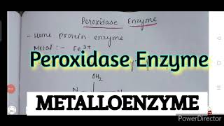 Peroxidase Enzyme metalloenzyme bioinorganic chemistry notes MSc amp BSC notes [upl. by Verlie]