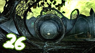 Skyrim ALL Anniversary Edition Content Part 26 [upl. by Yclehc]