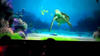 Funniest Turtle Talk with Crush Ever [upl. by Golliner]