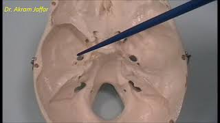 Osteology of the skull 6 cranial cavity [upl. by Ehctav]