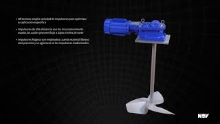 Chemineer™ Model 20 Rotating Mixer Spanish [upl. by Britteny273]