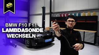 BMW 5 F10 F11 Lambdasonde 2 Bank 1 wechseln  BMW F10 F11 change lambda probe  VitjaWolf  Tutorial [upl. by Shaughn236]