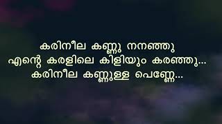 Karineela Kannulla Penne കരിനീലക്കണ്ണുള്ള പണ്ണ്  Song With Lyrics  Melodious Songs [upl. by Aicekat]