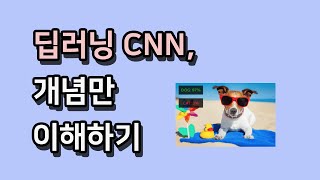 딥러닝 CNN 개념만 이해하기 [upl. by Ahsiret]