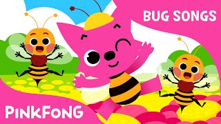 Bugs Bugs Bugs  Bug Songs  PINKFONG Songs [upl. by Carolus]