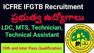 ICFRE IFGTB Recruitment 10th amp iti amp Inter pass [upl. by Maice814]