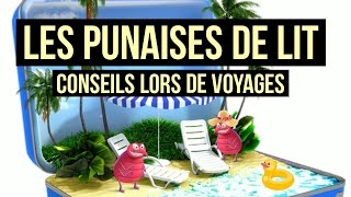 Comment se protéger des punaises de lit en voyage  Comment ne pas ramener de punaises chez soi [upl. by Mada274]