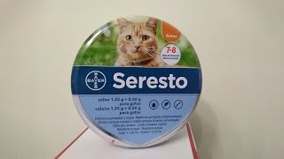 seresto cat flea collar review in 2023 [upl. by Oakley]